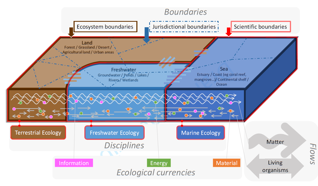 schema ecosysteme boundaries