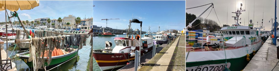 bateaux de peche