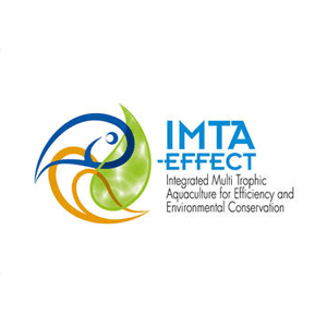 Logo IMTA